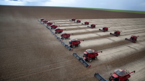 Soybeans being harvested in Brazil