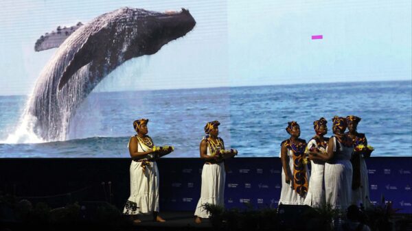 Artists performing at the inauguration of COP16 in Cali, Colombia