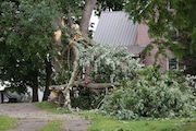 Crews work to clean up the damage left by a possible Micro burst in Cortland along rt 281 between Home and Cortland. July 11, 2024. Damage extended to residential homes and Cortland Country Club.  Dennis Nett | dnett@syracuse.com