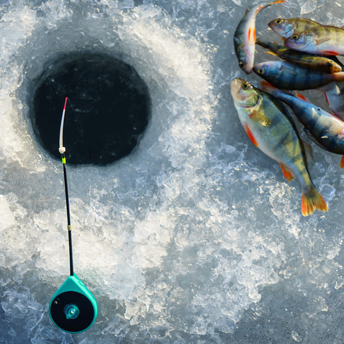 Ice fishing. Winter fishing