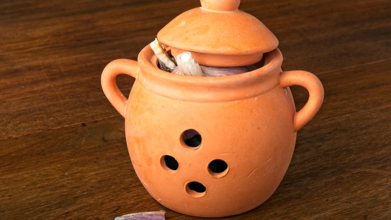 Terra cotta garlic keeper