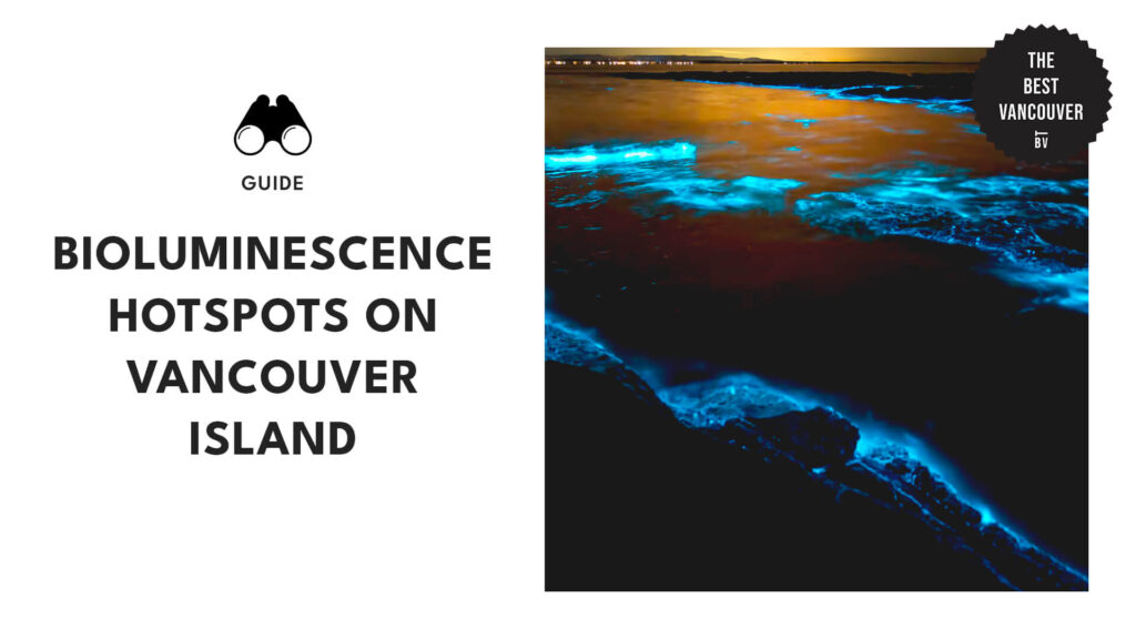 Bioluminescence Hotspots