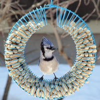 Whole Peanut Wreath Feeder