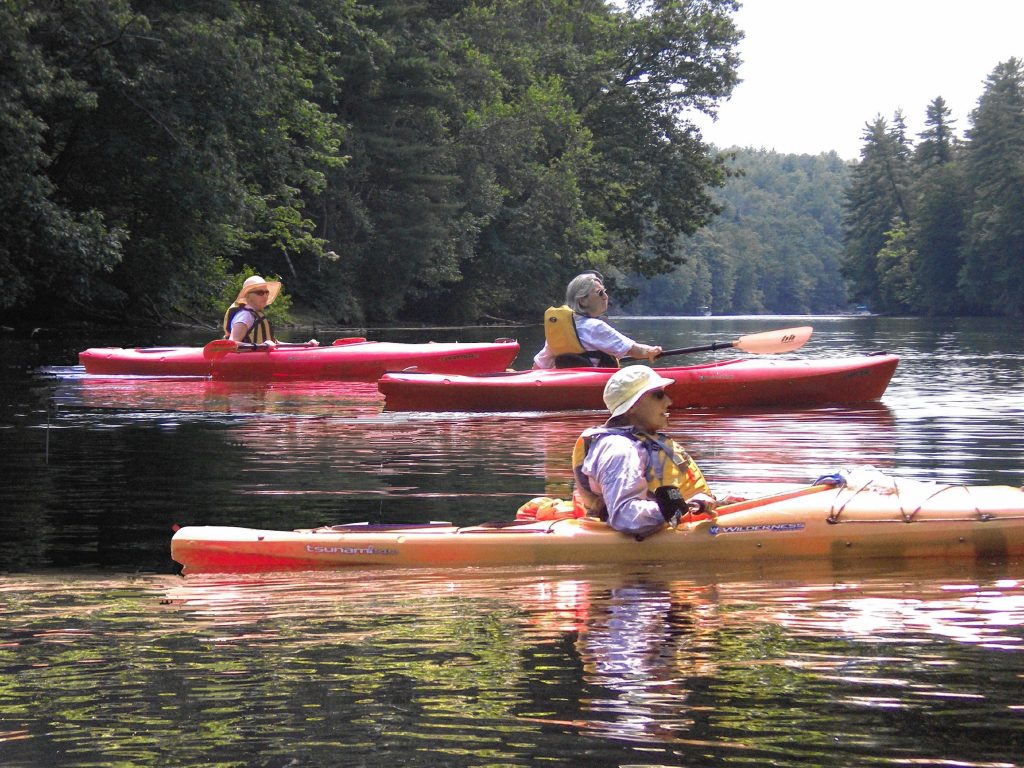 Among the vast offerings provided by OLLI are fun outdoor outings, such as kayak trips.  Courtesy of OLLI