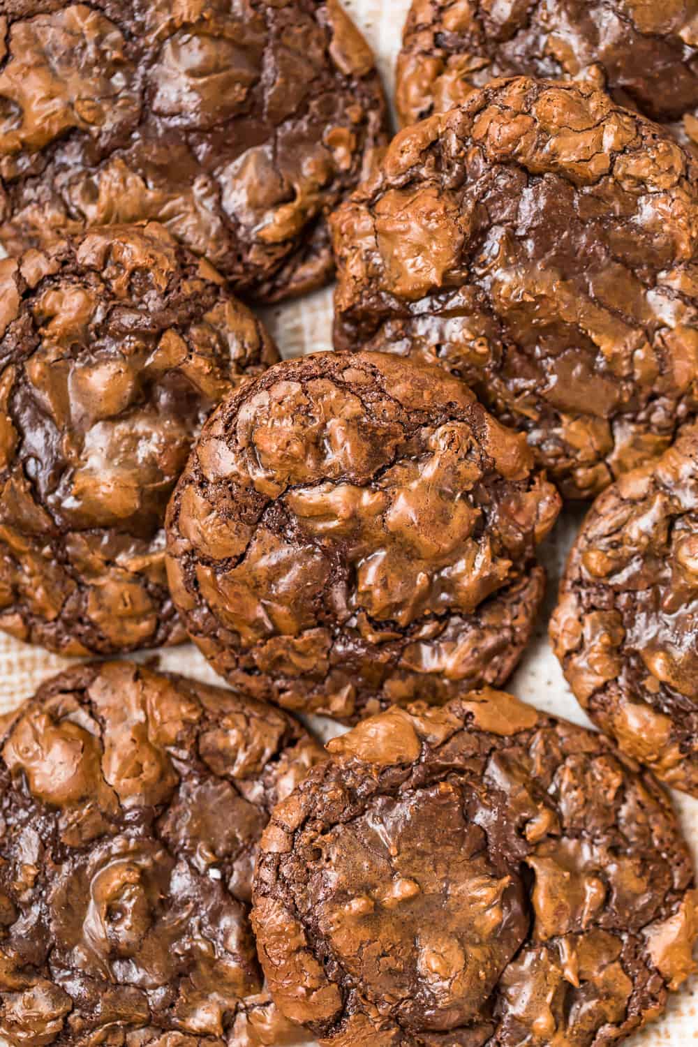 several brownie cookies on a plate