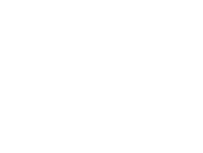 Fiat Logo 