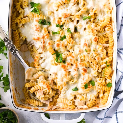 Square overhead shot of a pan of chicken alfredo pasta casserole