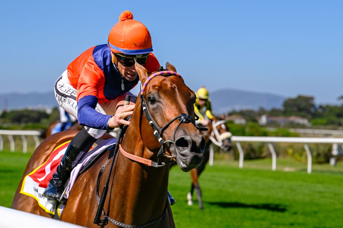 The 2025 L’Ormarins King’s Plate weight-for-age Grade 1 has attracted a suitably aristocratic class field of 13 runners.