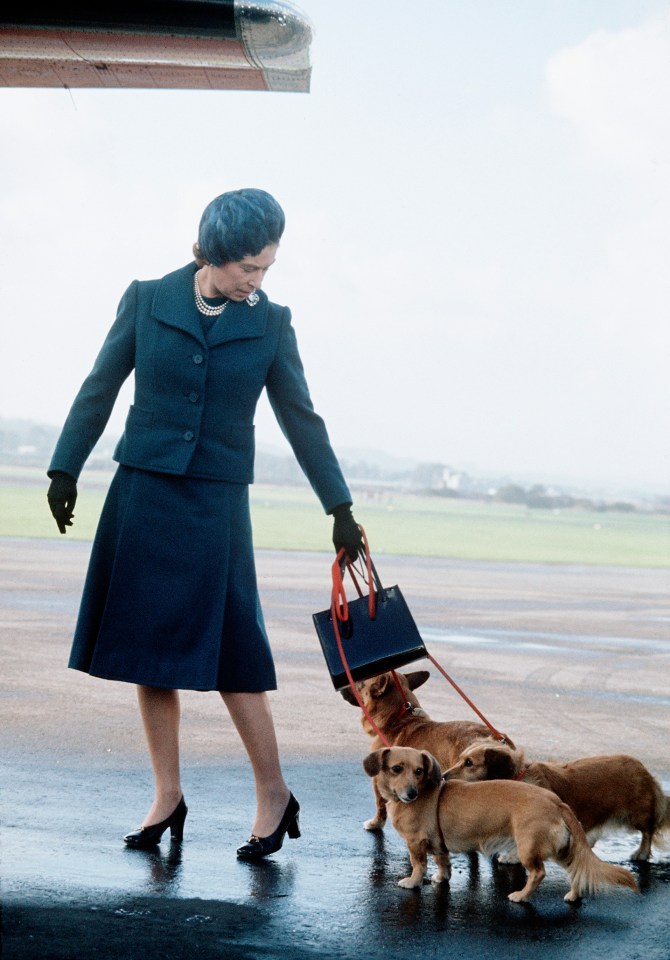 Queen Elizabeth with her corgis in Balmoral, Scotland in 1974