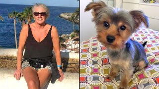 Deborah Cullingford said she needed to be accompanied by her Yorkshire terrier, Bella, because her debt collection work was so stressful