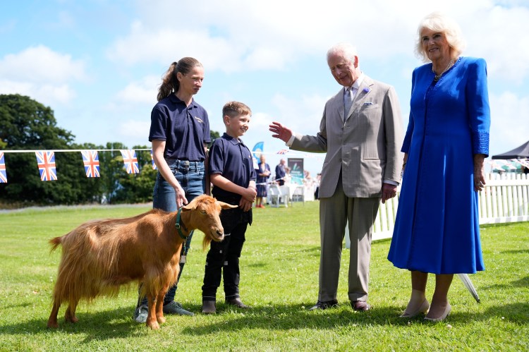King and Queen award royal title to Guernsey goats saved from Nazis