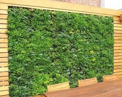 Outdoor Plant Wall