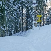 abzweigung duxeralm am schneerosenweg weg