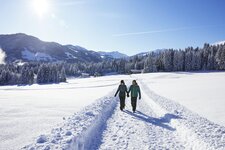 Winterwandern am Penningberg