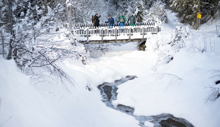 Schneeschuhwandern Nationalpark Defereggental