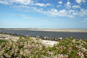 St. Simons Island, East Beach, Georgia