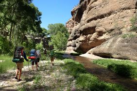 Group hiking outdoors in mountains