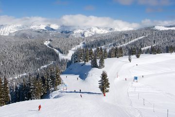 Skiers at Vail