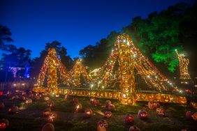 Pumpkin bridge at Blaze in Hudson Valley