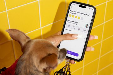 Lyft pet mode on a smartphone 