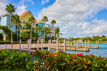 Tropical Luxury Living, Dock and Palm Trees at Paradise Island, Nassau, Bahamas