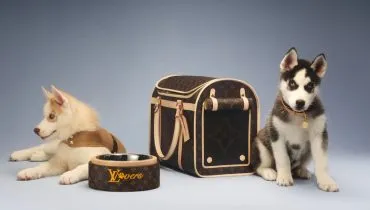 Linha de acessórios da grife Louis Vuitton para pets.