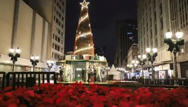 Árvores de Natal de Curitiba! Roteiro revela as mais bonitas em ruas e parques