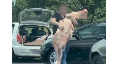 Caminhão tomba no Paraná e saqueadores enchem carro com peças de carne