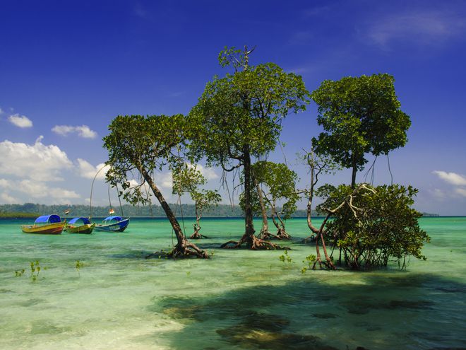 Govindnagar Beach - Havelock