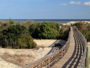 Cumberland Island National Seashore, located in the state of Georgia, is famous for its vast beaches, its extensive trail network, and also for its resident population of wild horses and other wildlife