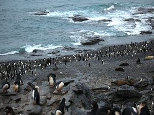 Scotland&#39;s Orkney Islands