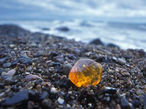 Germany, Rngen, Piece of Amber on seashore, close-up