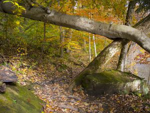 Autumn in Mohican State Park, Ohio