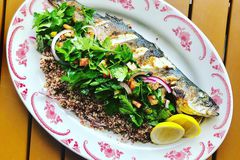 Whole roasted branzini, quinoa and whole herb tabbouleh on a red and white plate