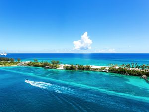 Coral reef at crystal waters at Caribbean Nassau