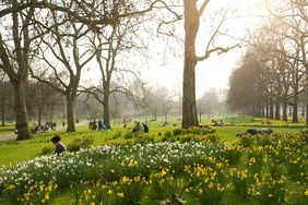 People relaxing in St James Park