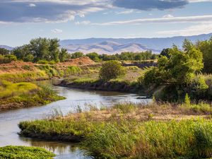 Winding river in Dos Rios Ranch Preserve with wild grasses on either side