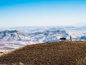 Farmer plowing a field in the Moroccan Atlas Mountains