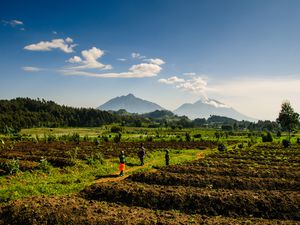 Villagers on the edge of Volcanoes National Park, Rwanda