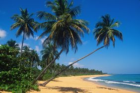 A beautiful beach on Isla Verde, Puerto Rico