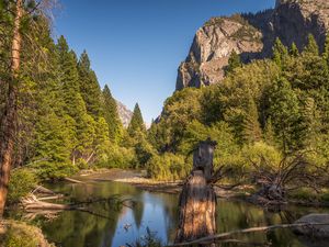 General Grant National Park