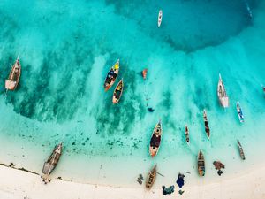 Aerial views of dhows on the beach in Zanzibar