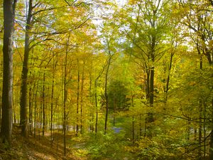 Taconic State Park, Copake Falls, New York, in the Fall