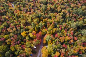 Colorful Autumn trees in the Adirondacks New York