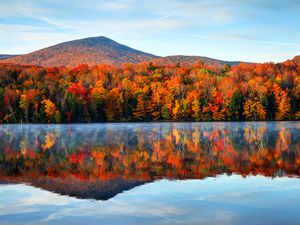 fall foliage