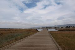 Arrowhead Marsh at MLK Shoreline