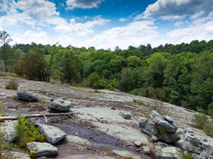 Sloping view from atop a large granite monadnock, Panola Mountain, Georgia USA, surrounding forest and blue sky