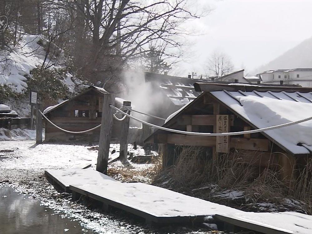 冬遊奧日光 泡湯滑雪