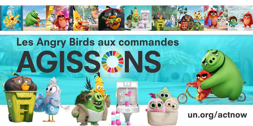 Affiche des Angry birds, lien vers la vidéo