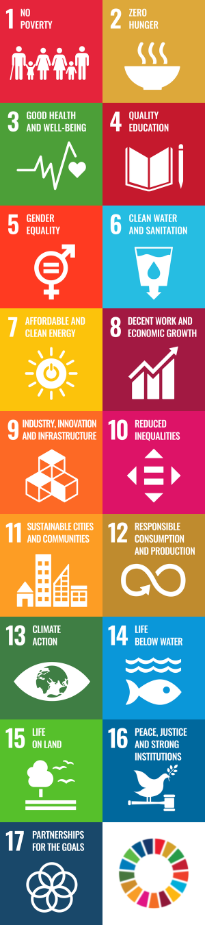 SDG icons